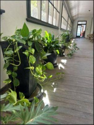 The Riverine Club 沃加沃加 外观 照片